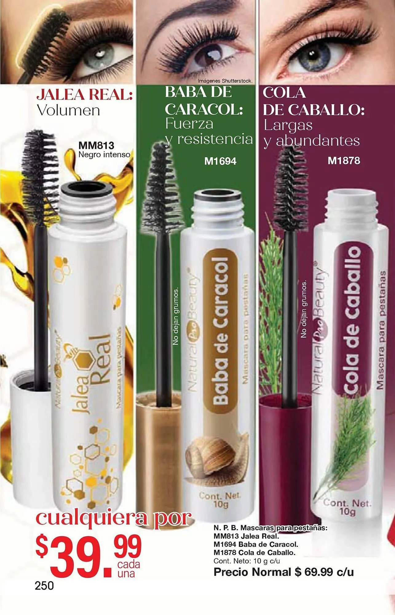 Catálogo de Catálogo Arabela 20 de noviembre al 31 de diciembre 2025 - Pagina 220