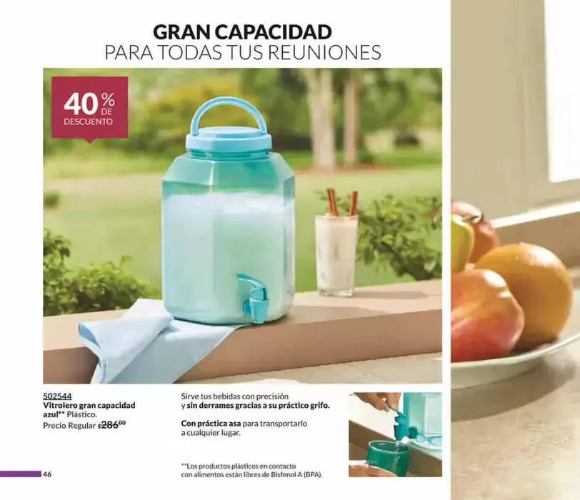 Catálogo de Avon Casa & Estilo C5 6 de febrero al 31 de diciembre 2025 - Pagina 46