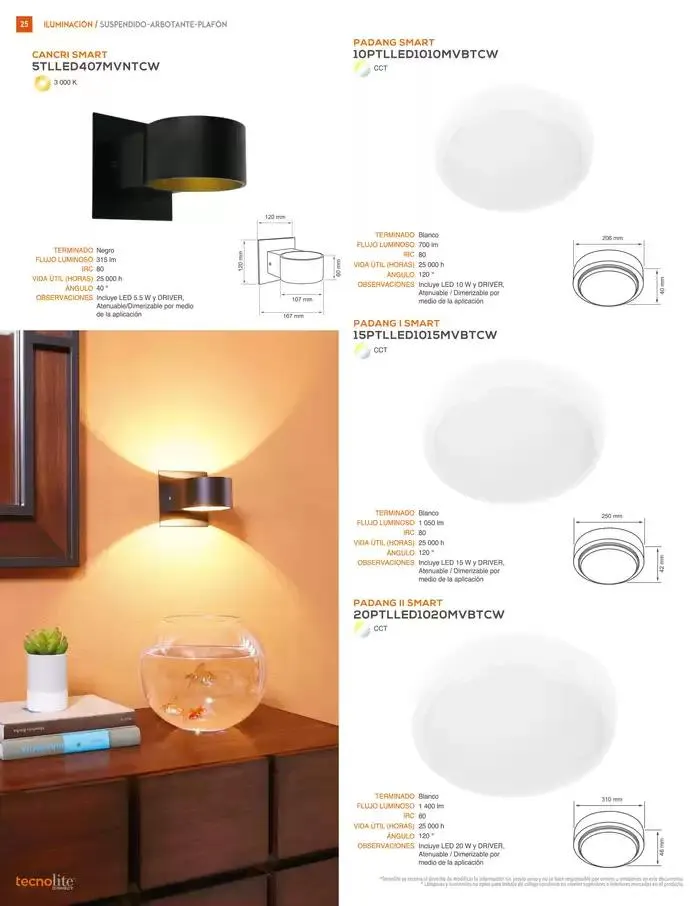 Catálogo de Catálogo Connect 2024  10 de octubre al 22 de febrero 2025 - Pagina 26