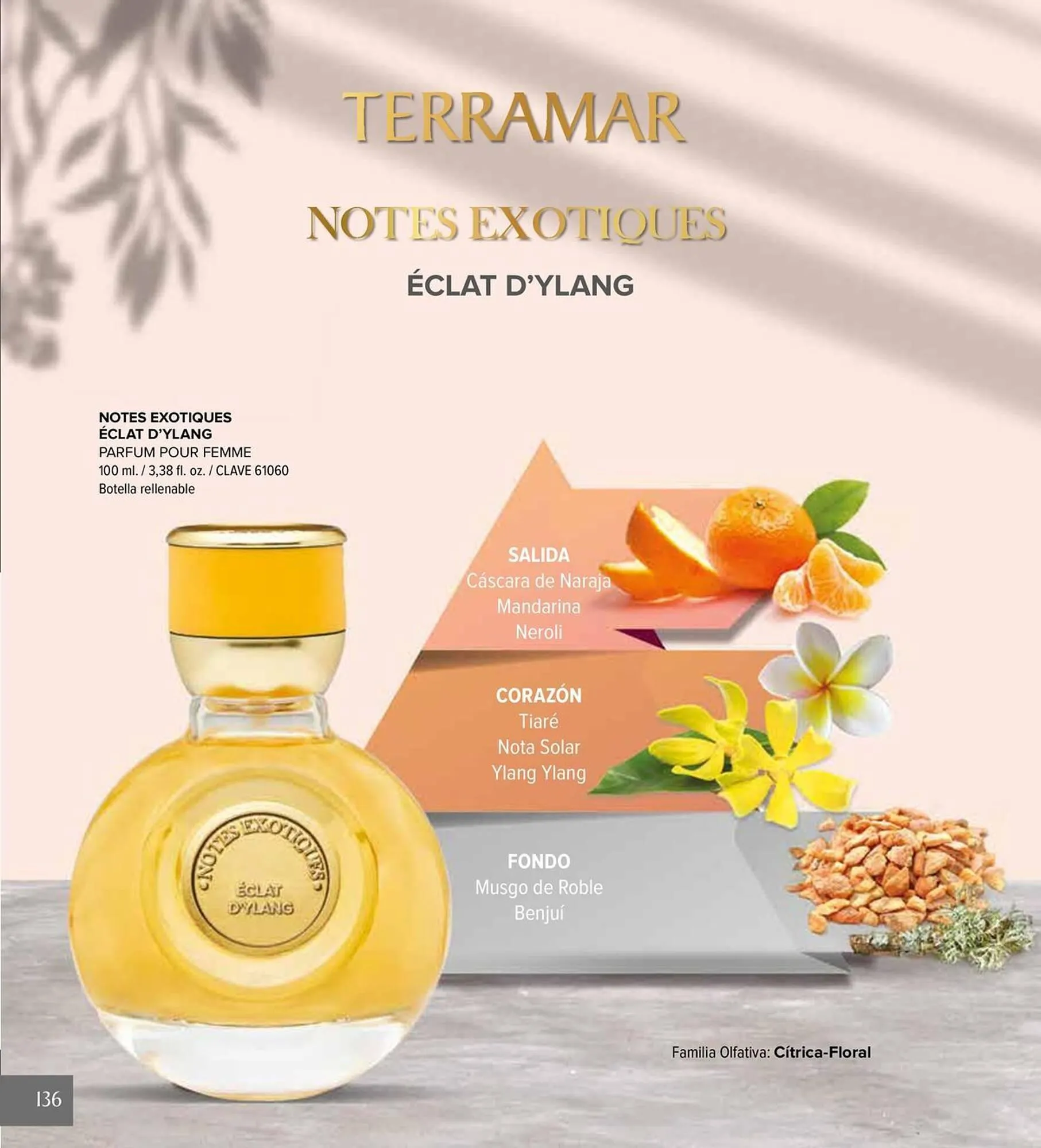 Catálogo de Catálogo Terramar Brands 5 de agosto al 31 de diciembre 2025 - Pagina 136