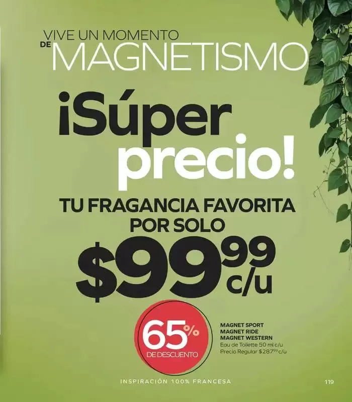 Catálogo de Folleto de Marzo 6 de marzo al 21 de marzo 2025 - Pagina 123