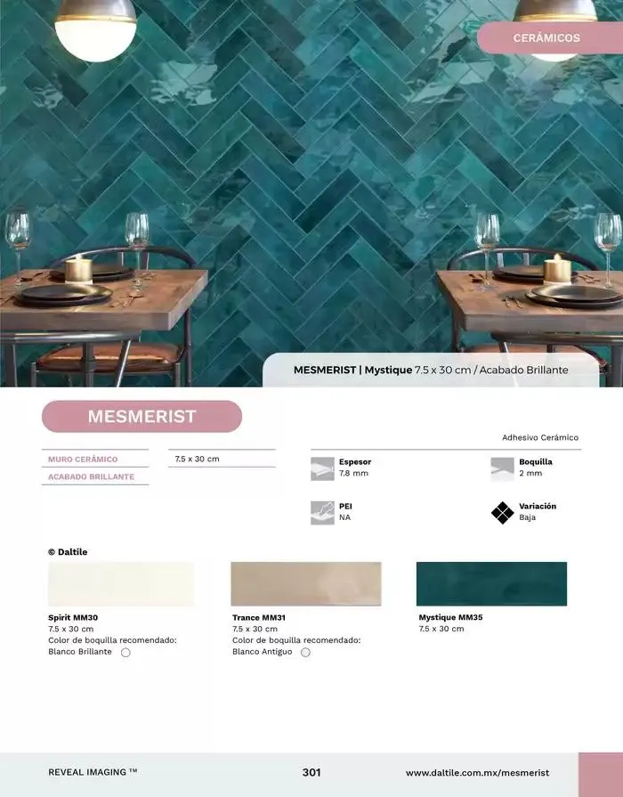 Catálogo de Catalogo 2025 10 de enero al 31 de diciembre 2025 - Pagina 301