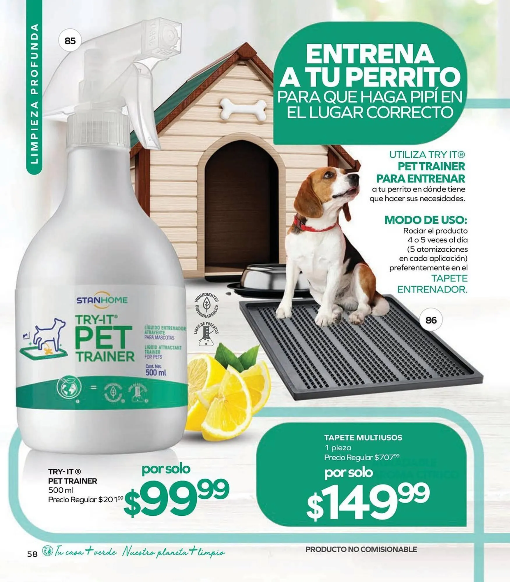 Catálogo de Catálogo Stanhome 9 de febrero al 27 de febrero 2026 - Pagina 62