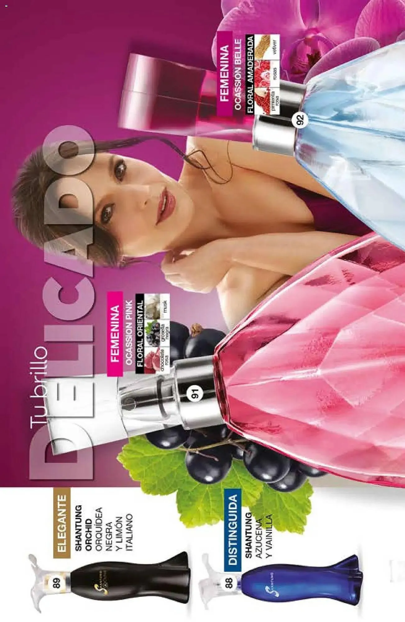 Catálogo de Catálogo Fuller 29 de abril al 20 de mayo 2026 - Pagina 40