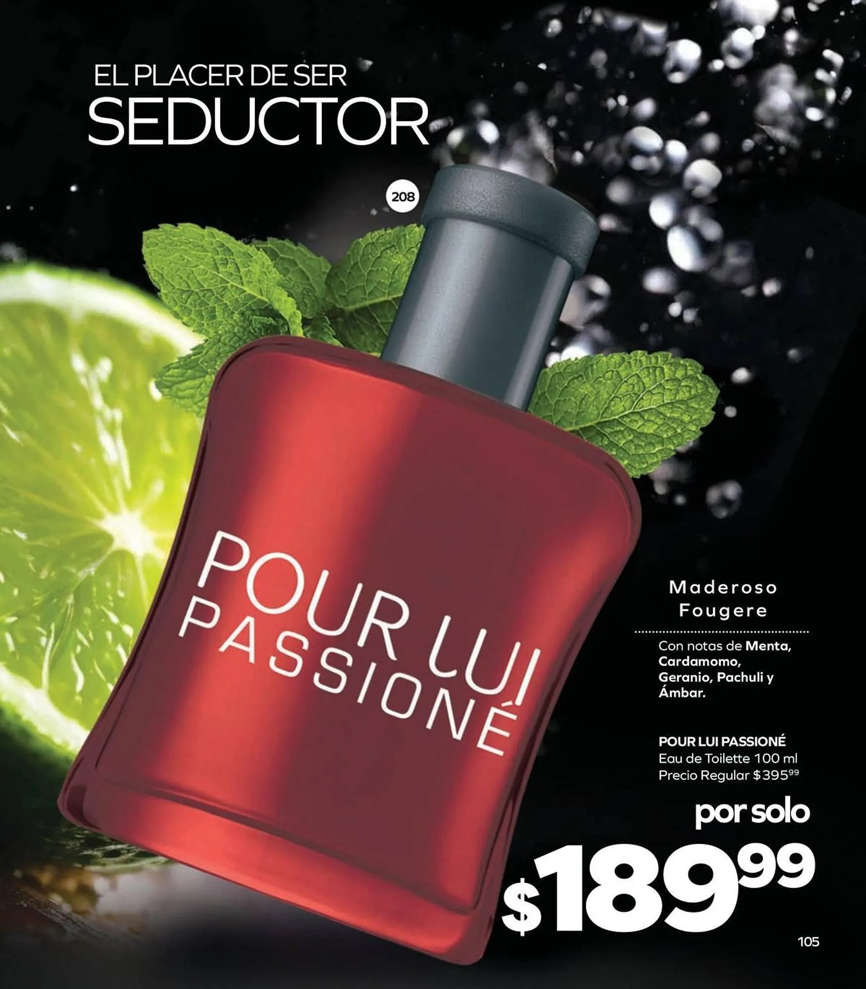 Catálogo de Catálogo Stanhome 17 de diciembre al 3 de enero 2026 - Pagina 107