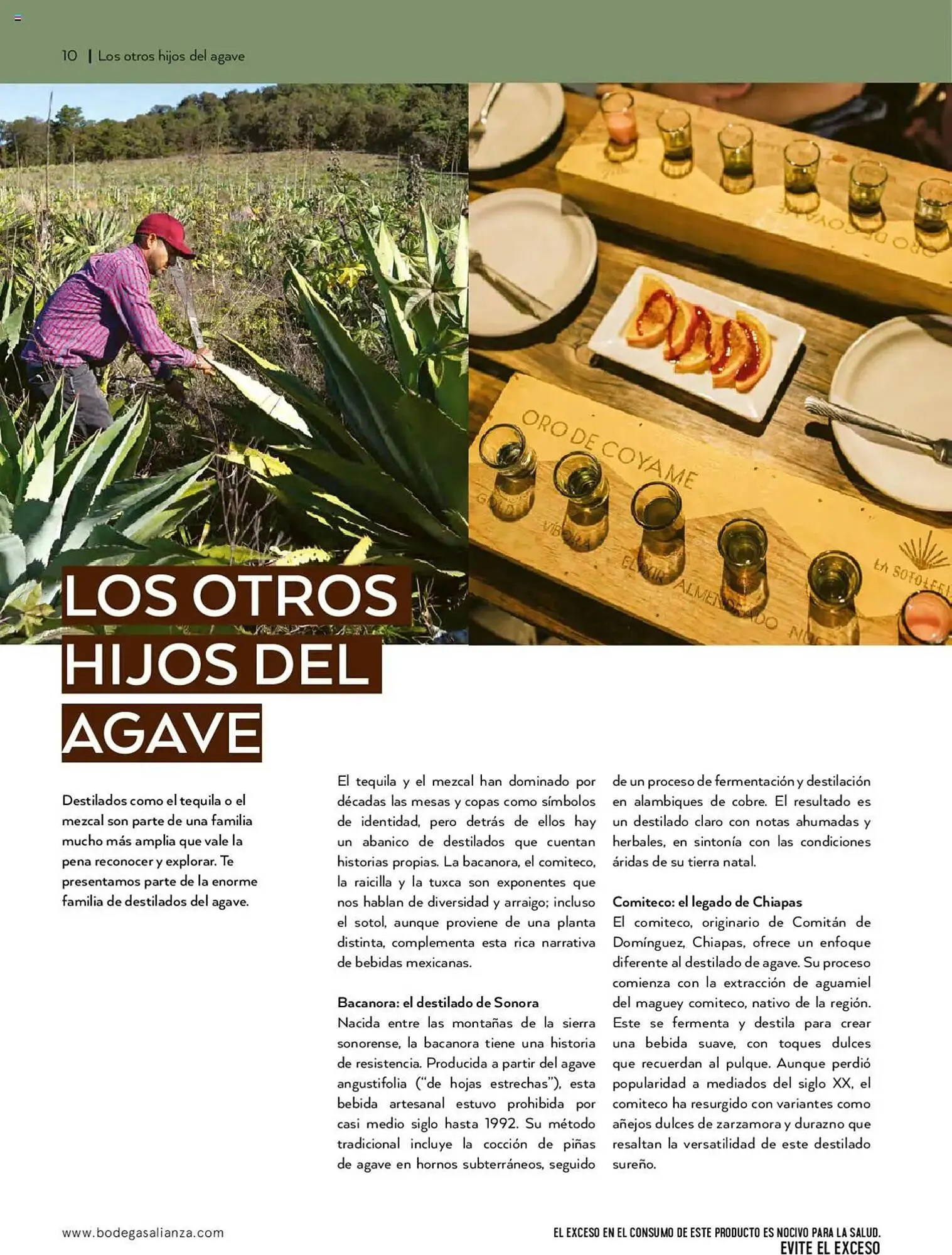 Catálogo de Catálogo Bodegas Alianza 14 de enero al 30 de marzo 2025 - Pagina 12