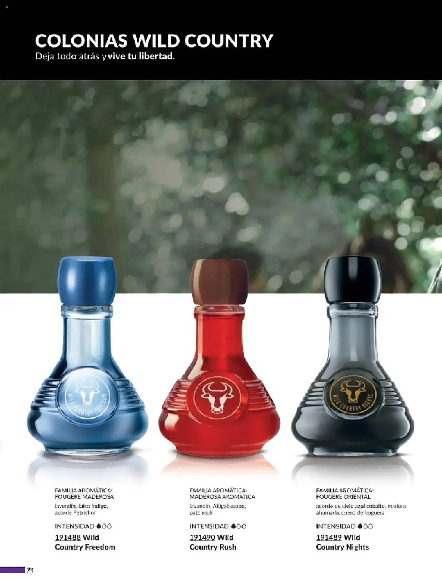 Catálogo de Catálogo Avon 20 de diciembre al 23 de enero 2026 - Pagina 80