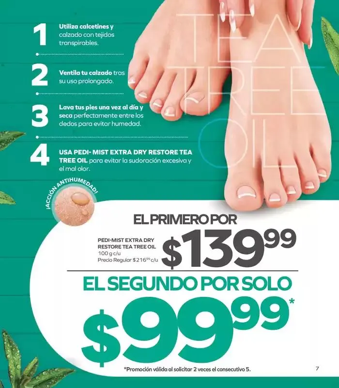 Catálogo de Folleto de Marzo 6 de marzo al 21 de marzo 2025 - Pagina 11