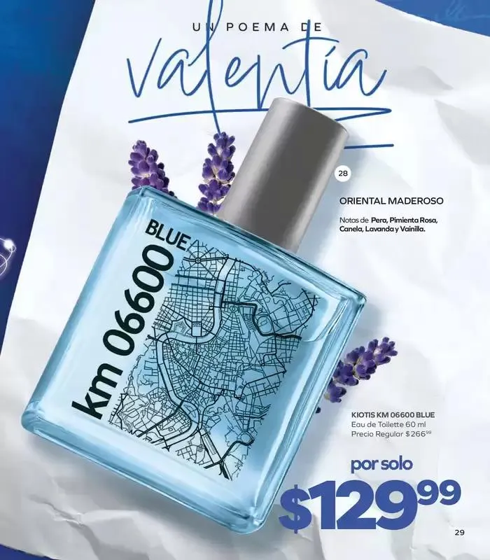 Catálogo de Stanhome - C17 6 de noviembre al 22 de noviembre 2024 - Pagina 33