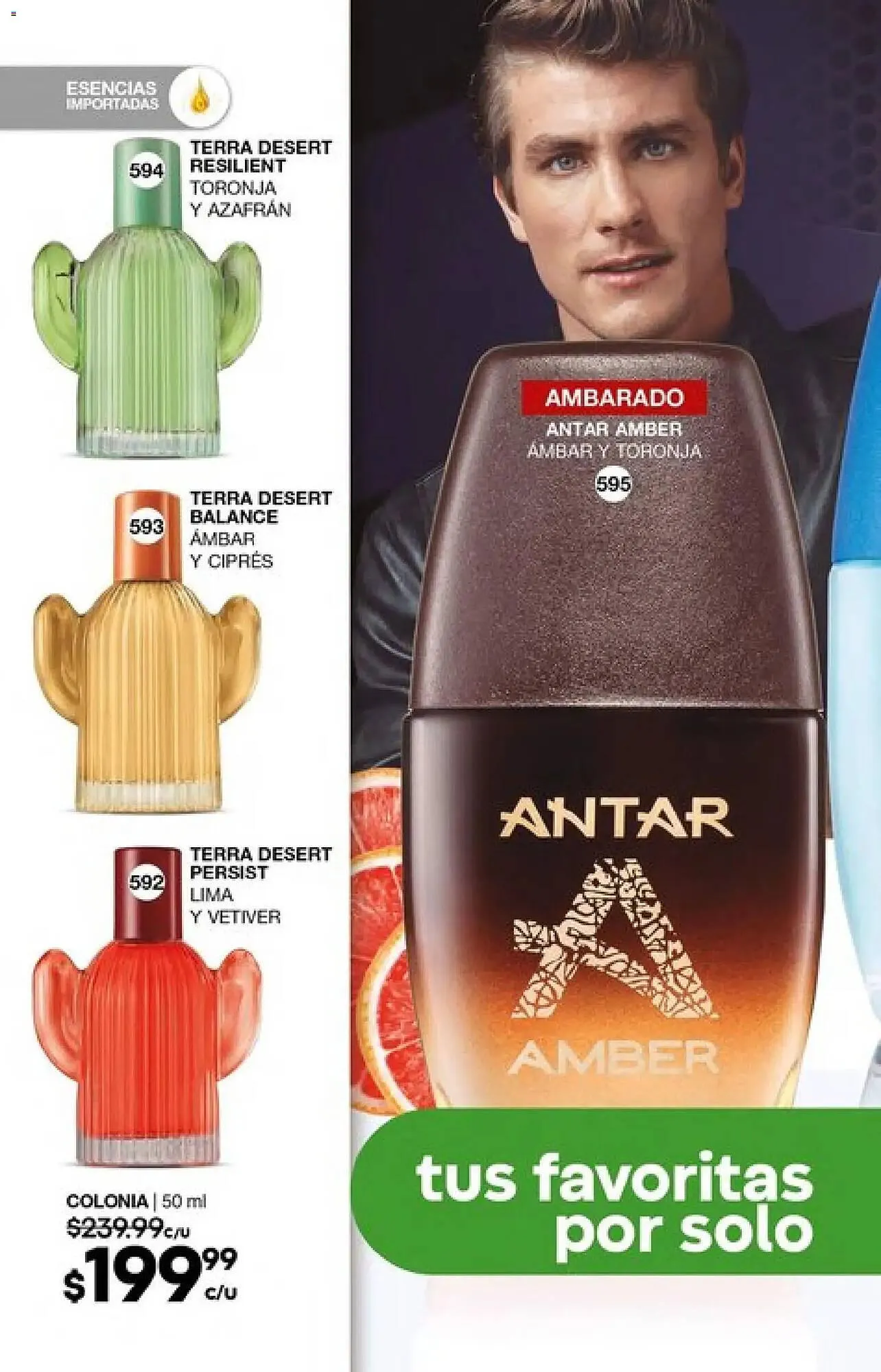 Catálogo de Catálogo Fuller 23 de febrero al 25 de marzo 2026 - Pagina 190