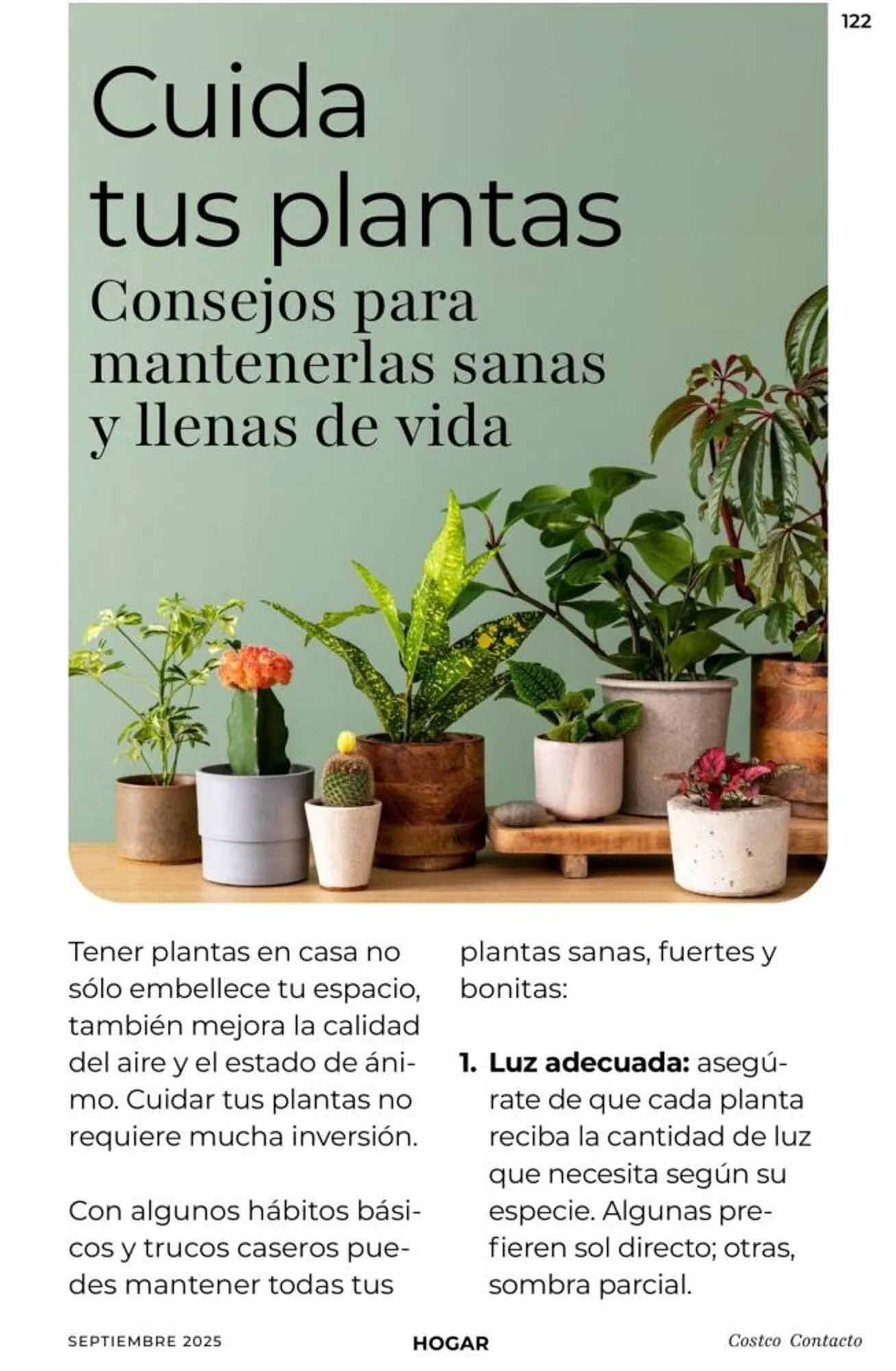 Catálogo de Catálogo Costco 10 de septiembre al 30 de septiembre 2025 - Pagina 122