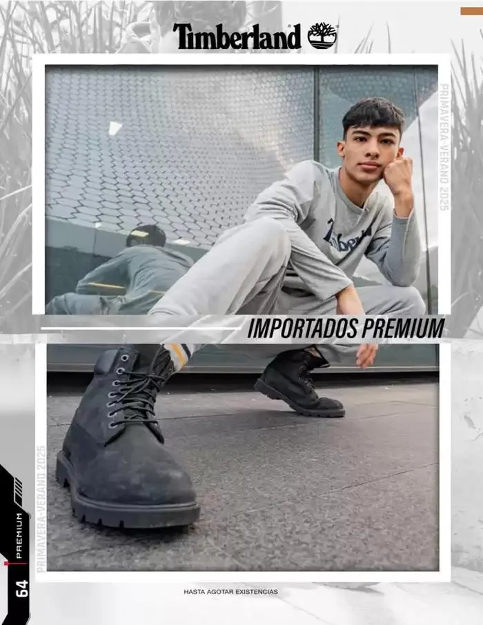 Catálogo de IMP PREMIUM 16 de diciembre al 16 de marzo 2025 - Pagina 64