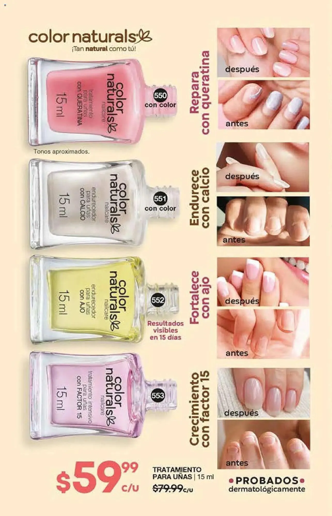 Catálogo de Catálogo Fuller 29 de octubre al 30 de noviembre 2025 - Pagina 182