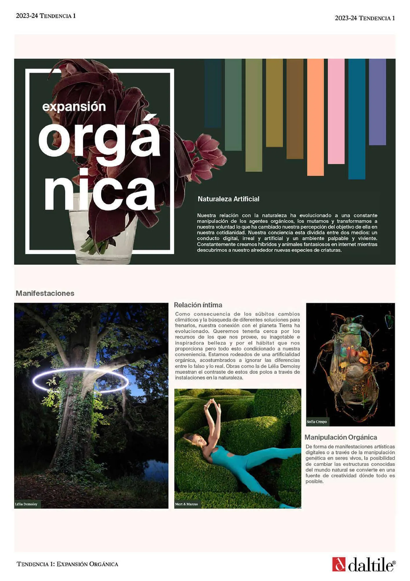 Catálogo de Catálogo Daltile 28 de septiembre al 31 de enero 2024 - Pagina 8