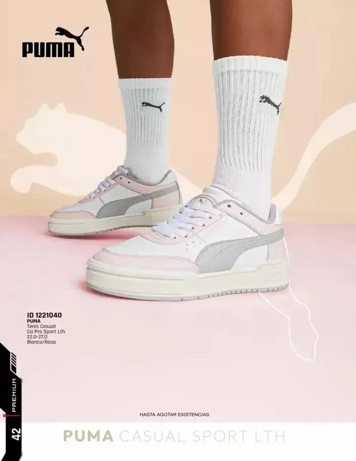 Catálogo de IMP PREMIUM 16 de diciembre al 16 de marzo 2025 - Pagina 42