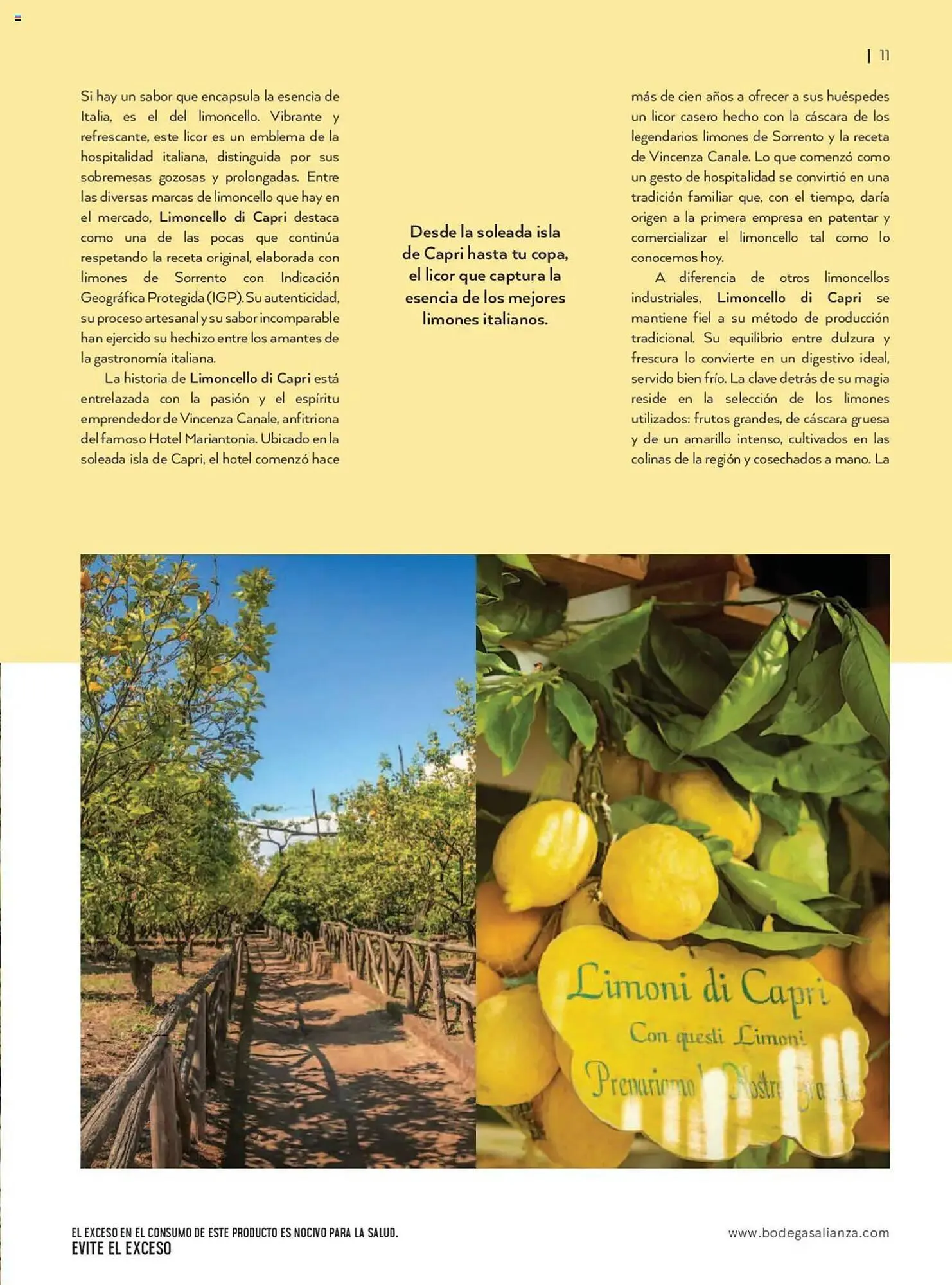 Catálogo de Catálogo Bodegas Alianza 1 de abril al 30 de junio 2025 - Pagina 13