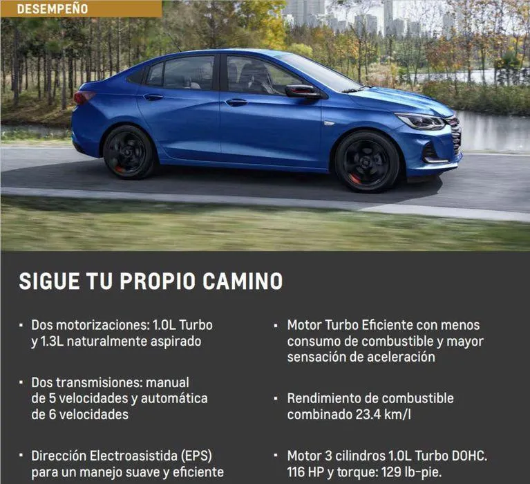 Catálogo de Onix 2024 18 de enero al 31 de diciembre 2024 - Pagina 6