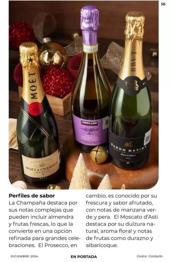 Catálogo de Costco Contacto 10 de diciembre al 31 de diciembre 2024 - Pagina 99