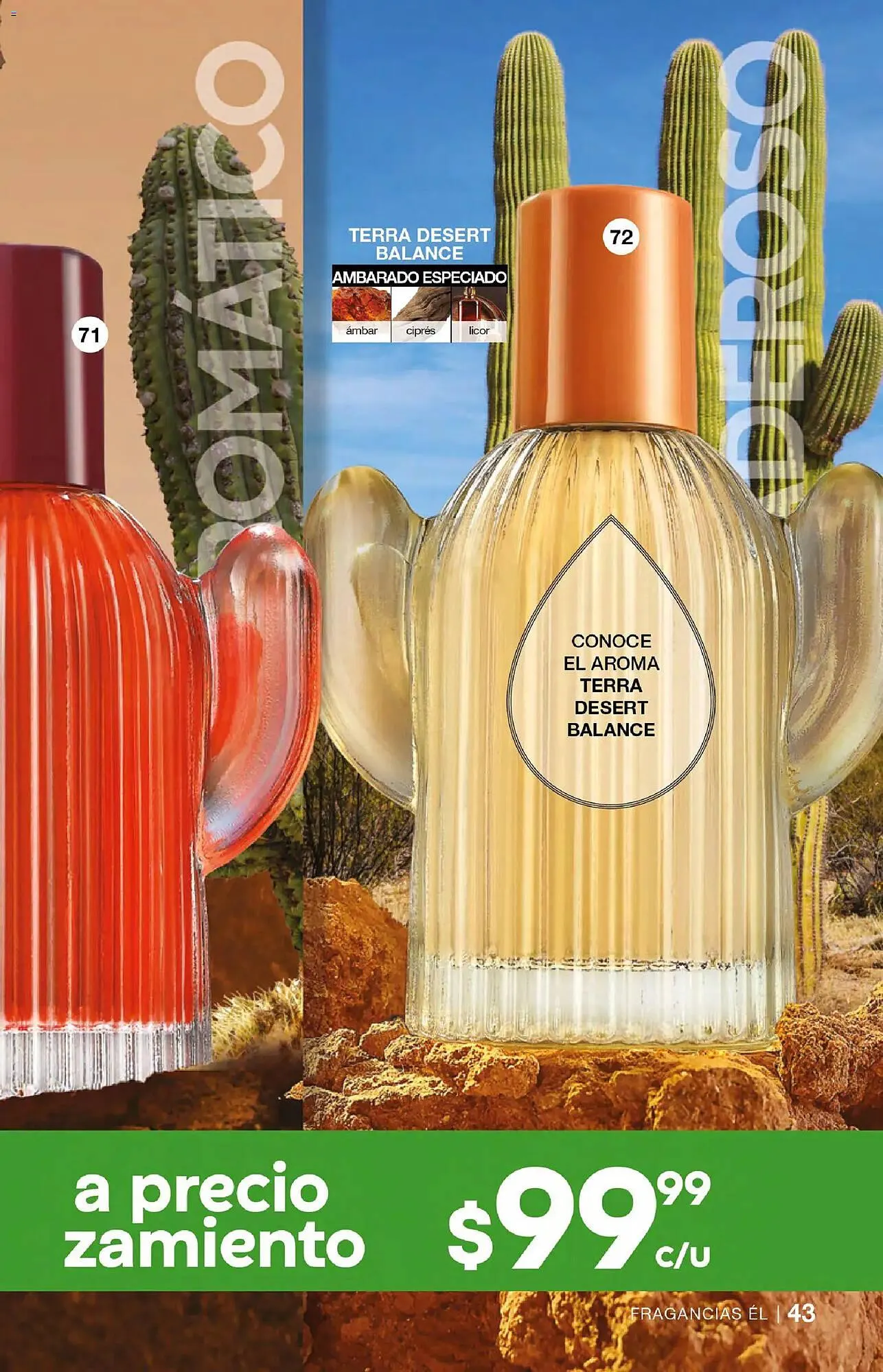 Catálogo de Catálogo Fuller 7 de enero al 28 de enero 2026 - Pagina 43