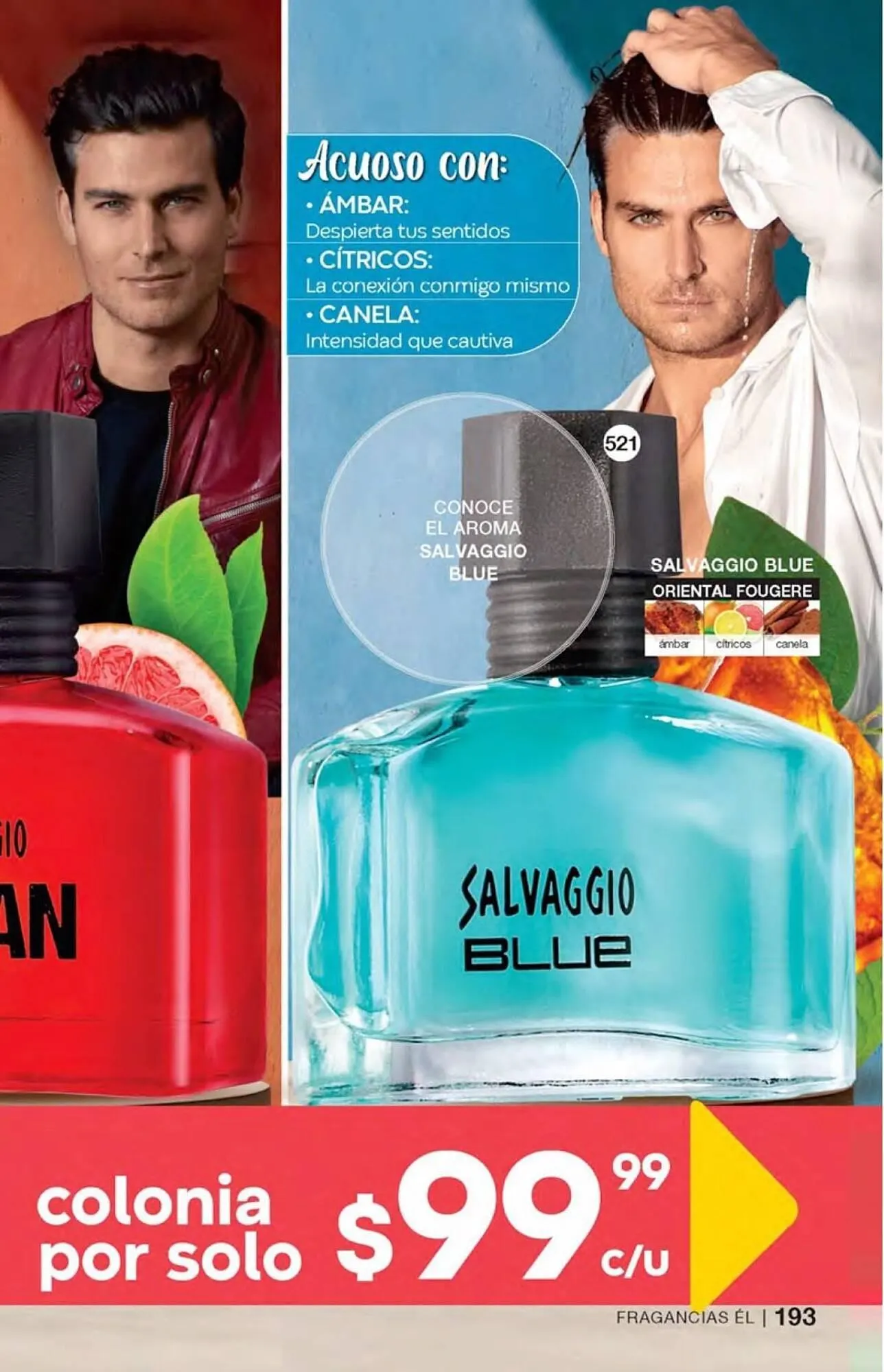 Catálogo de Catálogo Fuller 21 de agosto al 31 de octubre 2025 - Pagina 197