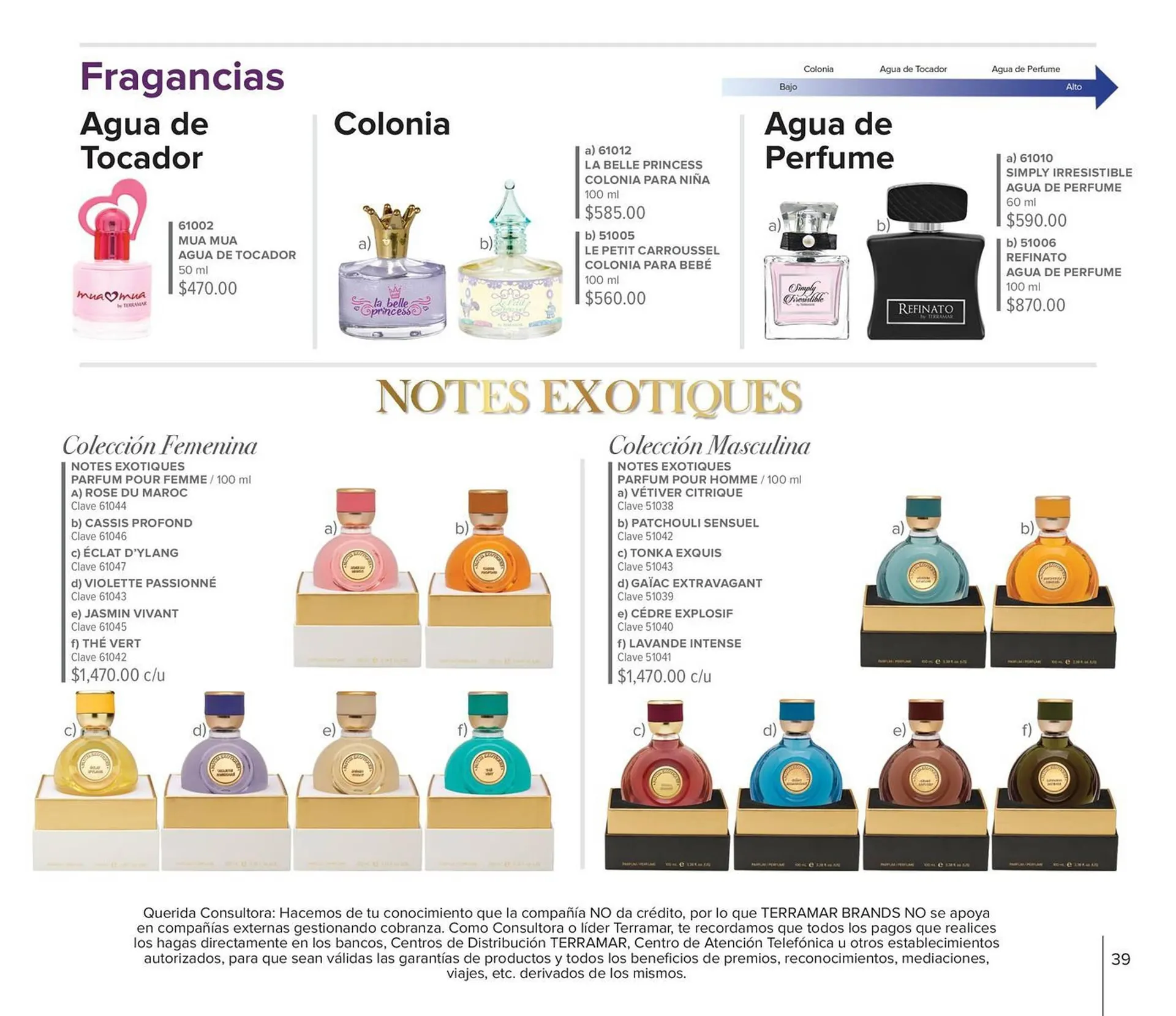 Catálogo de Catálogo Terramar Brands 3 de octubre al 31 de octubre 2023 - Pagina 39