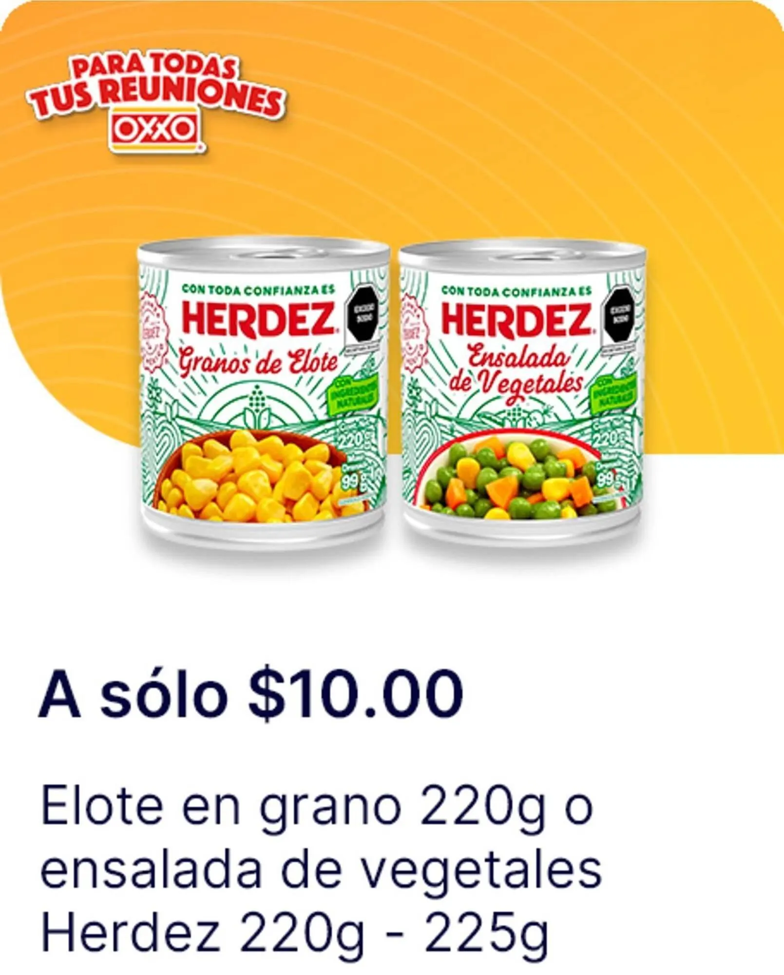 Catálogo de Catálogo OXXO 21 de agosto al 17 de septiembre 2025 - Pagina 22