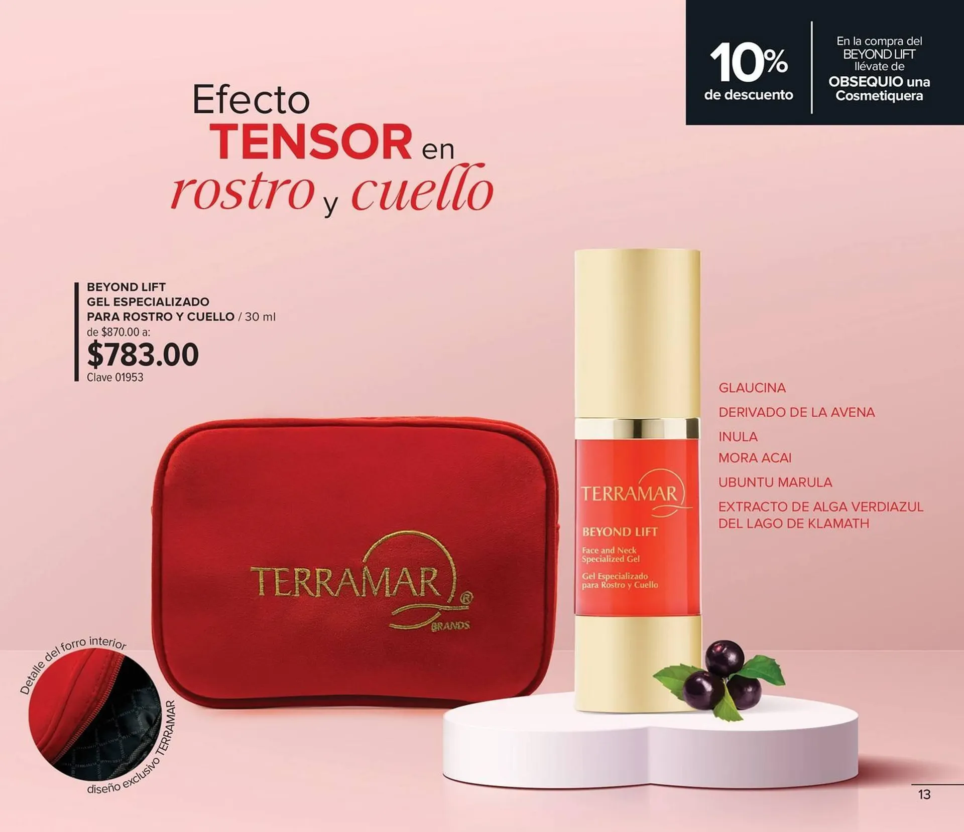 Catálogo de Catálogo Terramar Brands 1 de enero al 31 de enero 2026 - Pagina 13