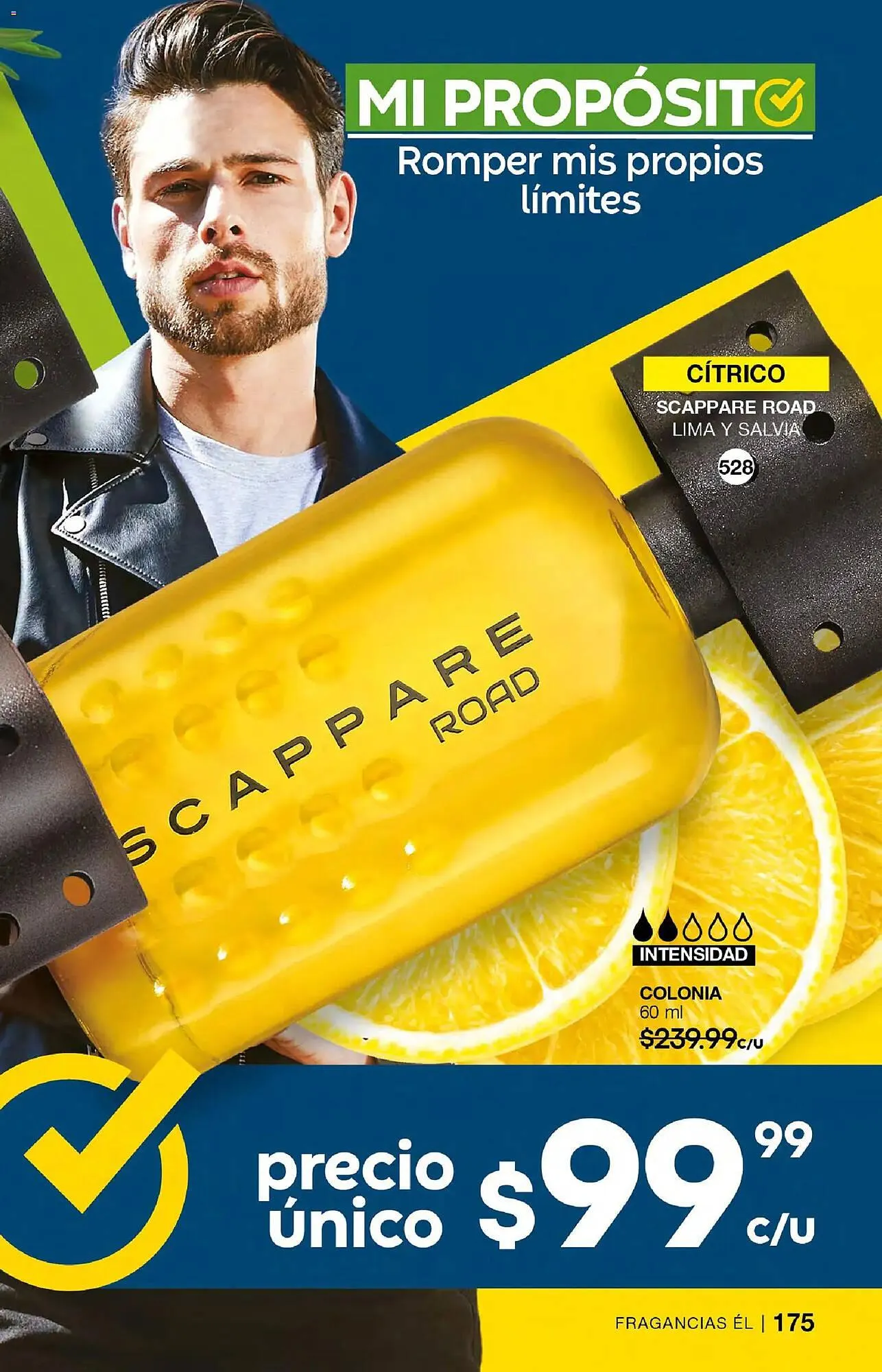 Catálogo de Catálogo Fuller 10 de diciembre al 31 de diciembre 2025 - Pagina 176