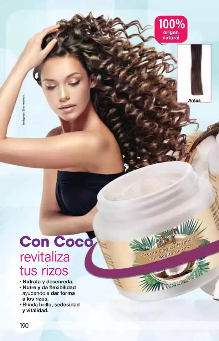 Catálogo de Arabela Campaña 24 24 de octubre al 14 de noviembre 2024 - Pagina 160