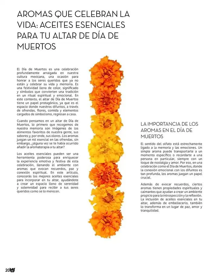 Catálogo de Fraiche Magazine 26 de noviembre al 2 de diciembre 2024 - Pagina 22