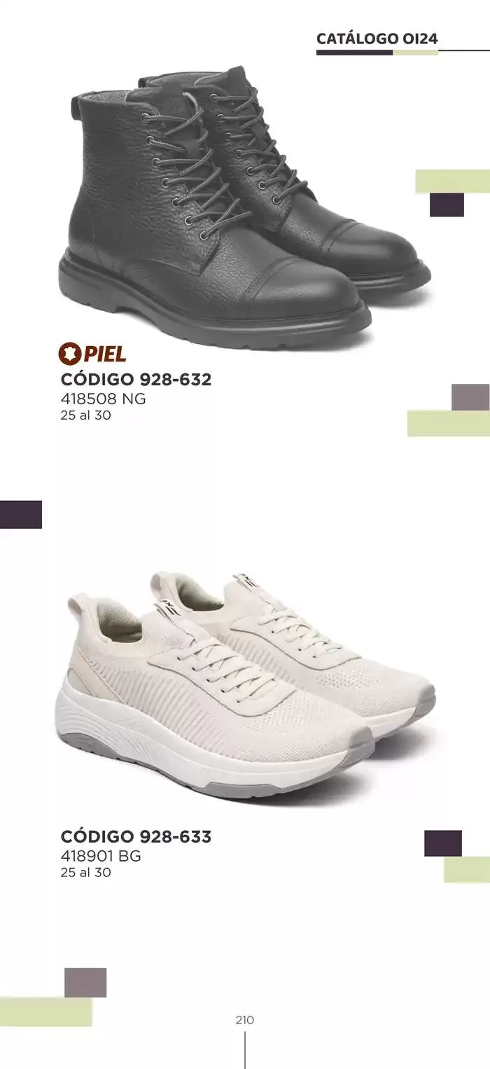 Catálogo de Pakar Flexi 23 de octubre al 31 de enero 2025 - Pagina 210