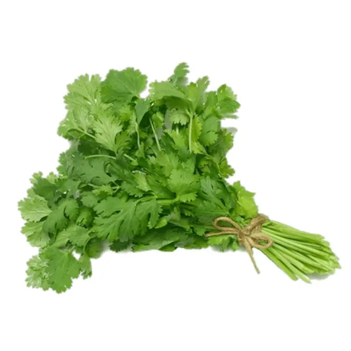 CILANTRO LOCAL 10 PZA.