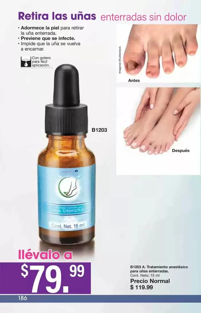 Catálogo de Arabela Campaña 24 24 de octubre al 14 de noviembre 2024 - Pagina 156