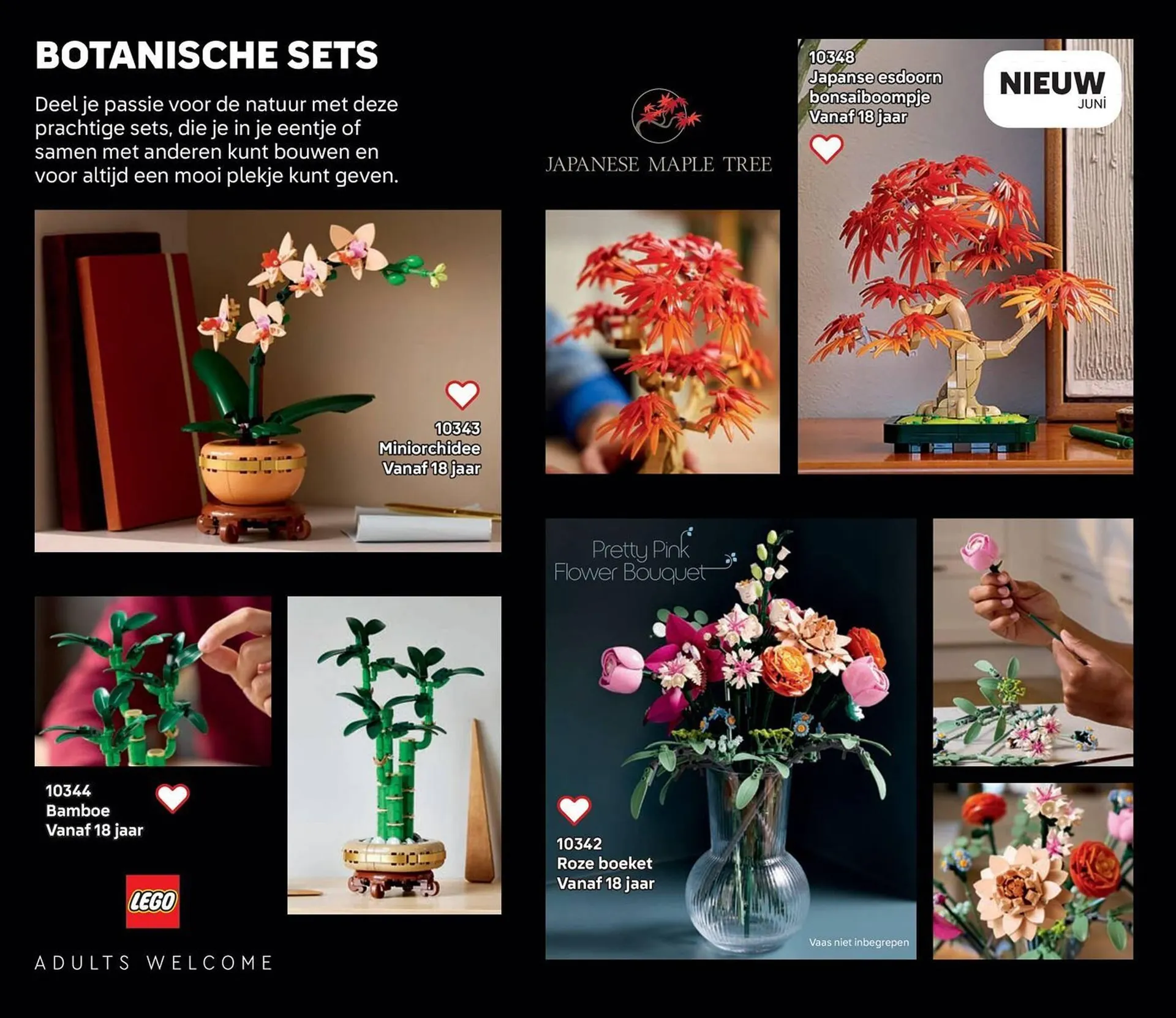 LEGO folder van 16 juni tot 31 december 2025 - Folder pagina 160