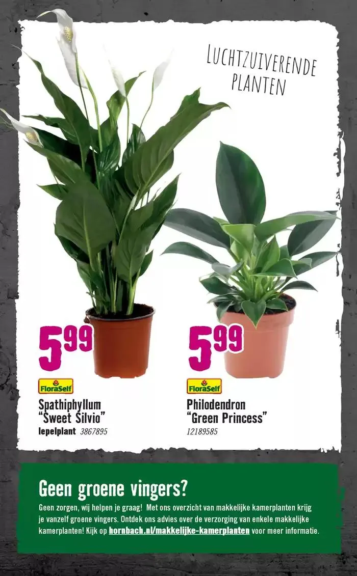 Hornbach folder van 7 januari tot 14 januari 2025 - Folder pagina 77