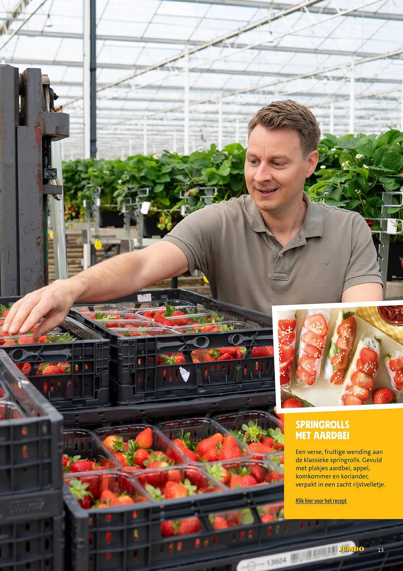 Jumbo folder van 30 juni tot 7 juli 2025 - Folder pagina 13