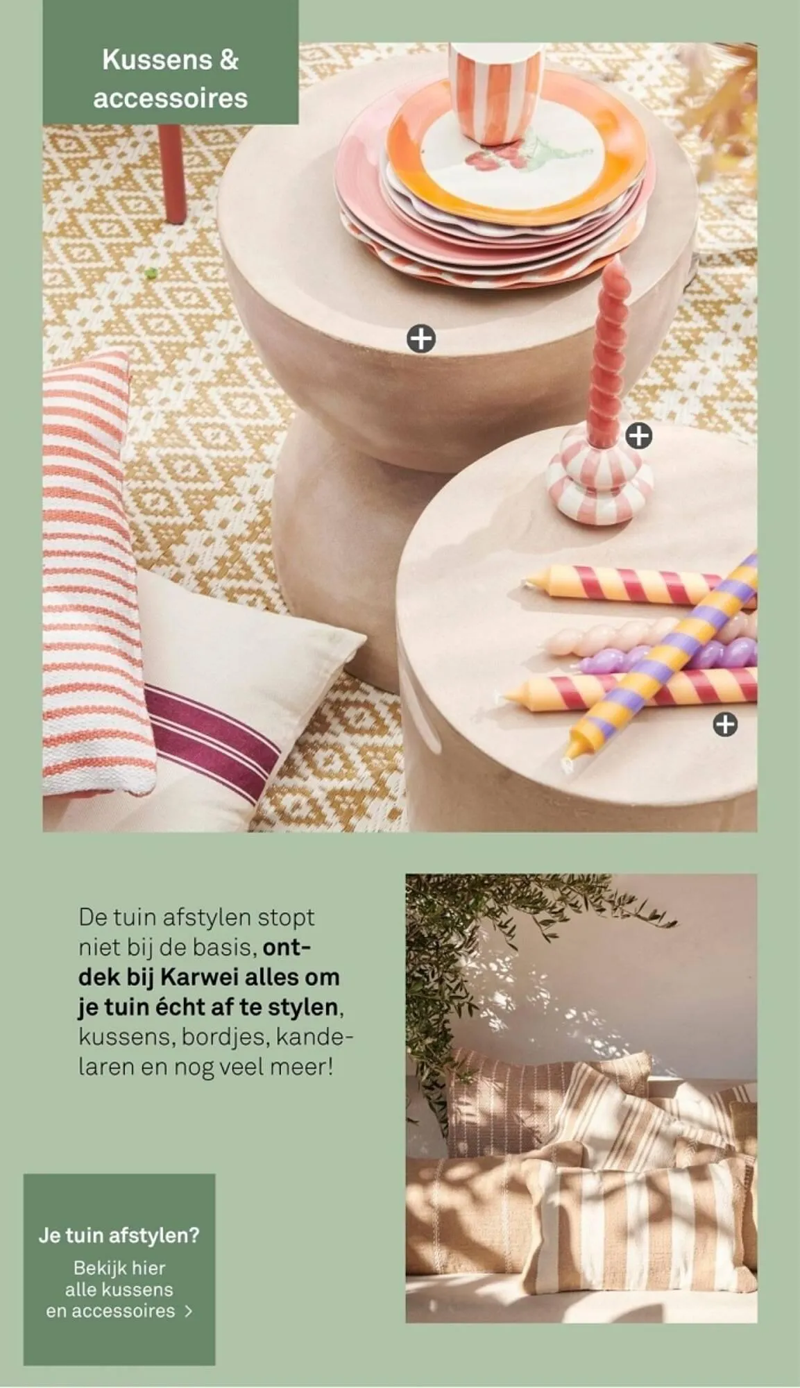 Karwei Tuincollectie 2024 folder van 4 maart tot 31 december 2024 - Folder pagina 38