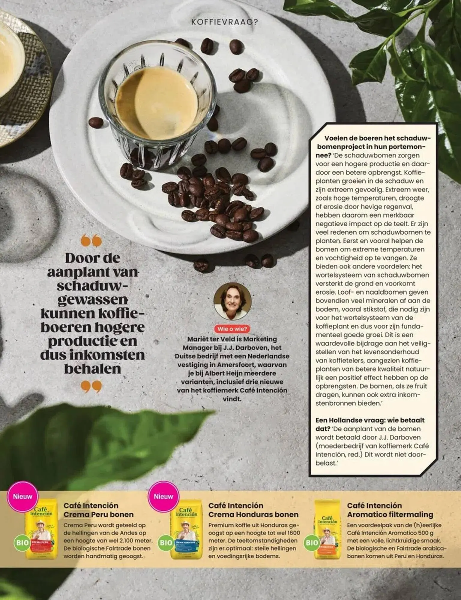 Albert Heijn folder van 27 oktober tot 31 december 2025 - Folder pagina 23