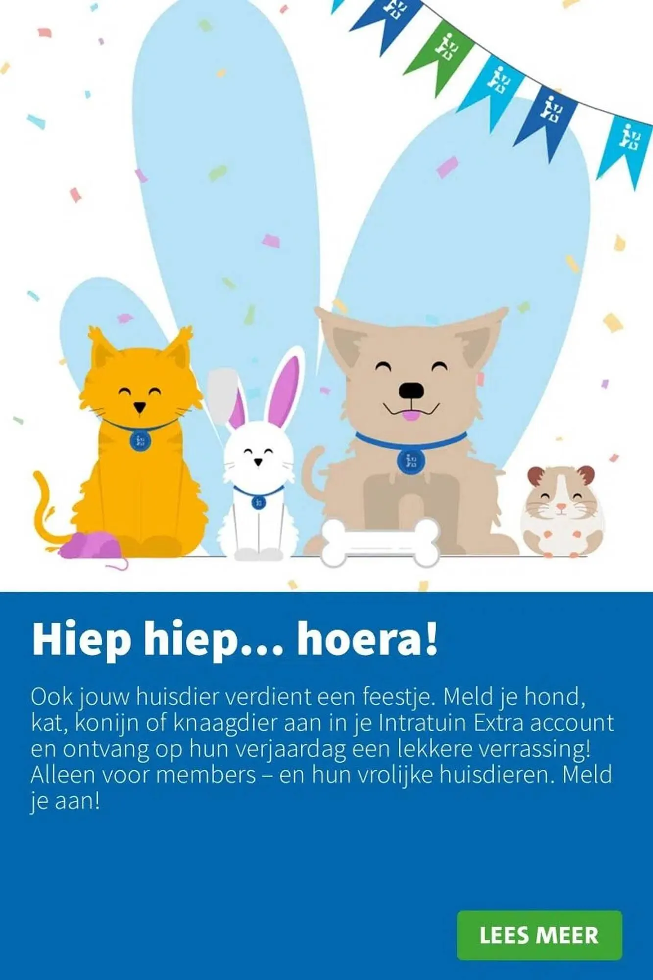 Intratuin folder van 14 juli tot 20 juli 2025 - Folder pagina 11