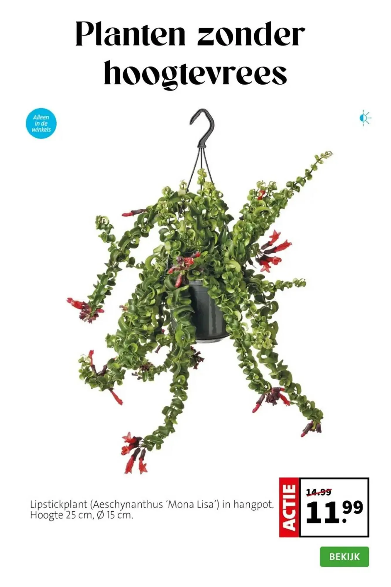 Intratuin folder van 23 maart tot 29 maart 2026 - Folder pagina 2