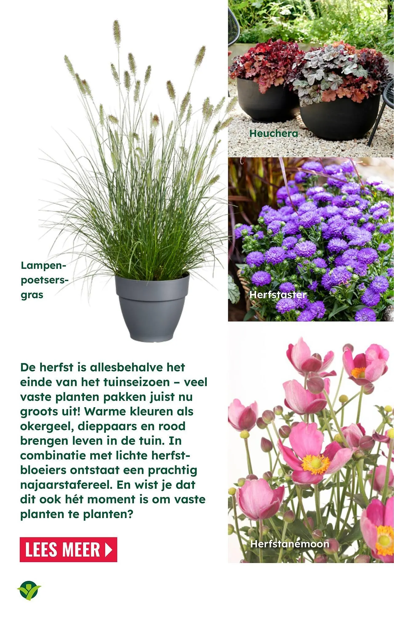 GroenRijk folder van 26 augustus tot 21 december 2025 - Folder pagina 5