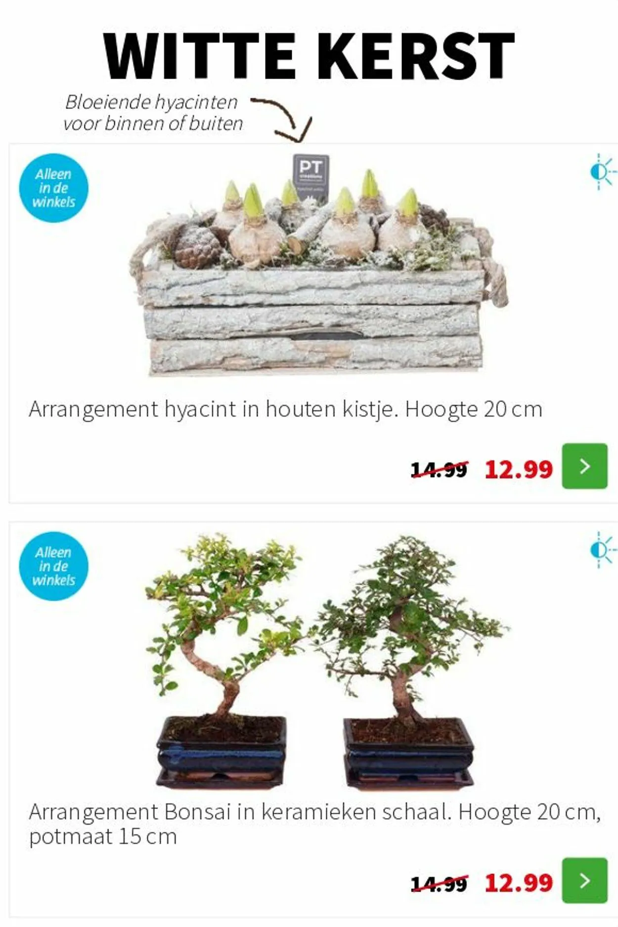 Intratuin Actuele folder van 9 februari tot 23 februari 2025 - Folder pagina 3