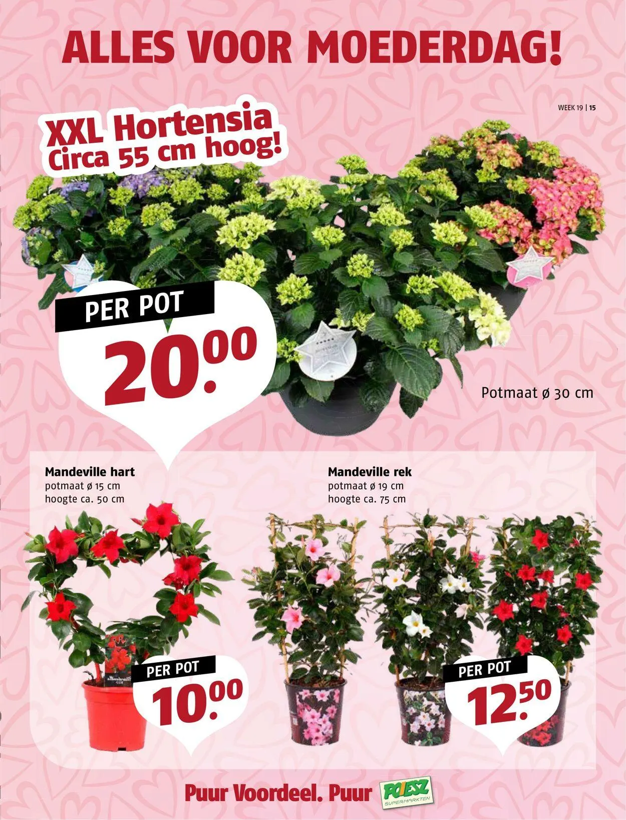 Poiesz Actuele folder van 5 mei tot 11 mei 2025 - Folder pagina 15