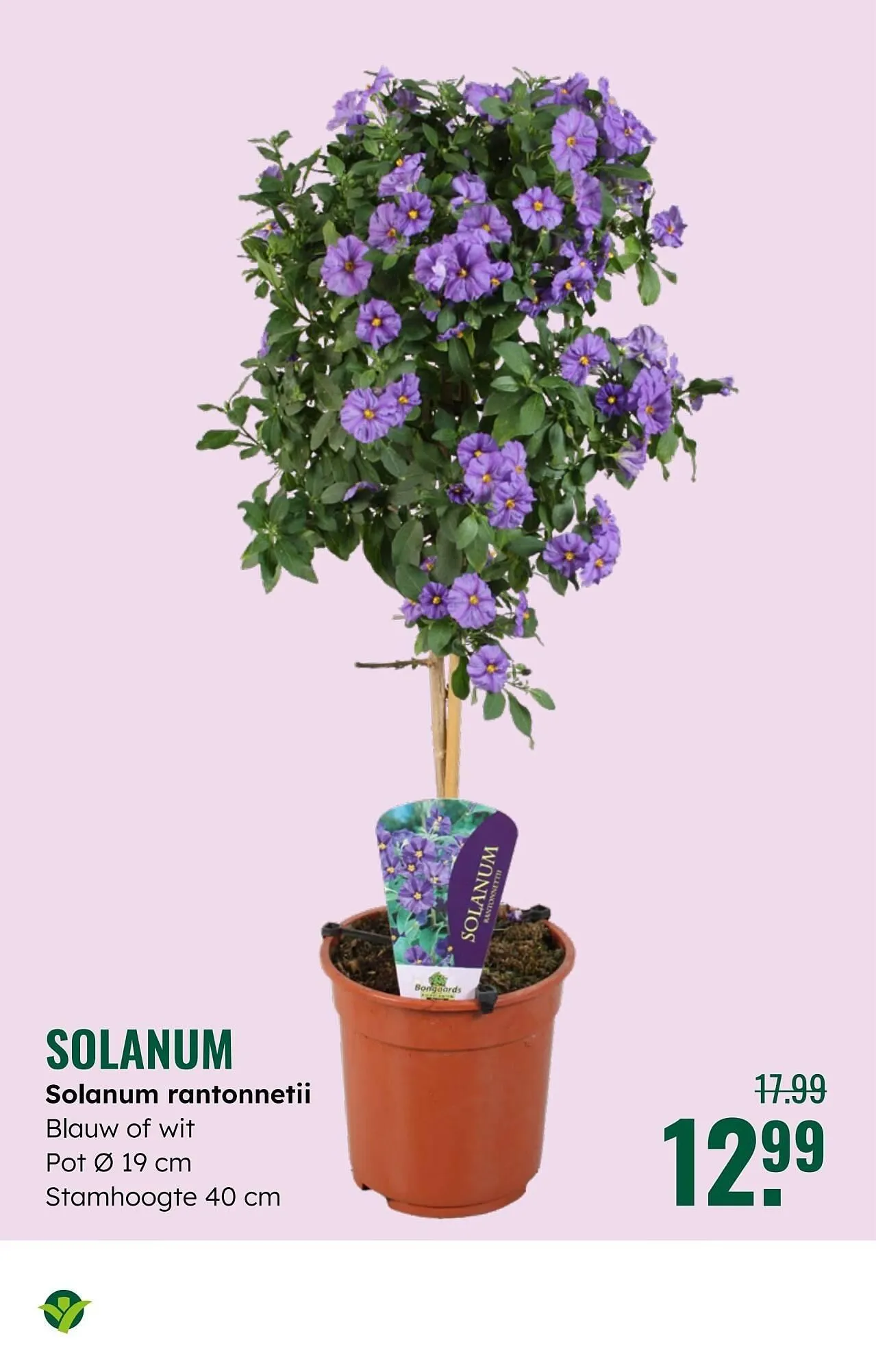 GroenRijk folder van 7 mei tot 13 mei 2025 - Folder pagina 11