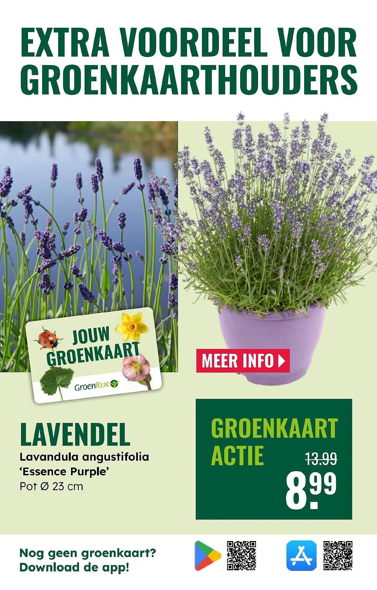 GroenRijk folder van 28 mei tot 3 juni 2025 - Folder pagina 9