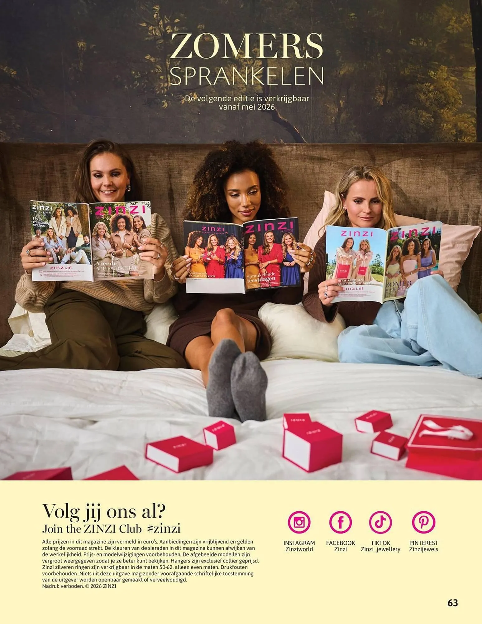 Zinzi folder van 23 februari tot 31 maart 2026 - Folder pagina 63