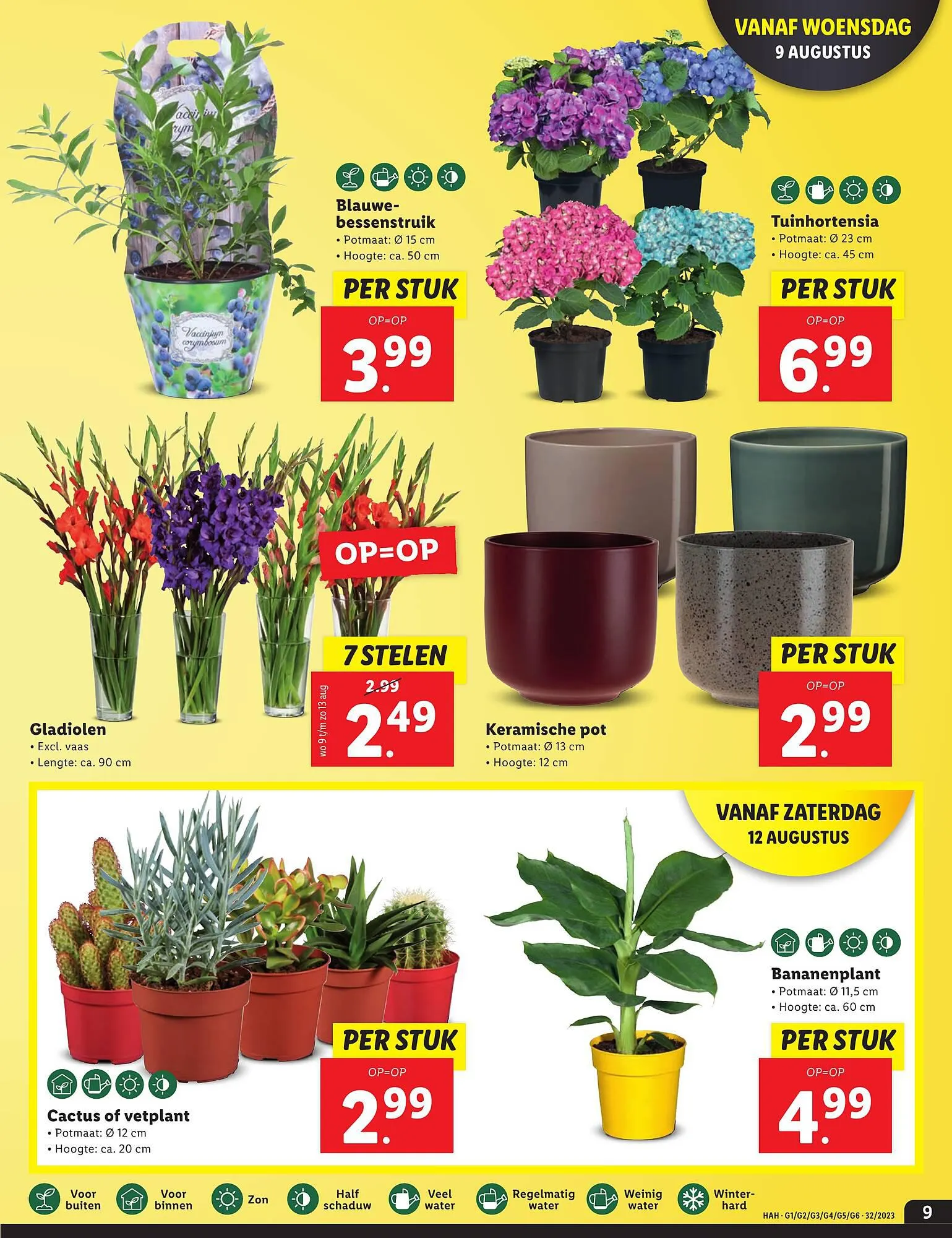 Lidl Folder van 7 augustus tot 13 augustus 2023 - Folder pagina 9