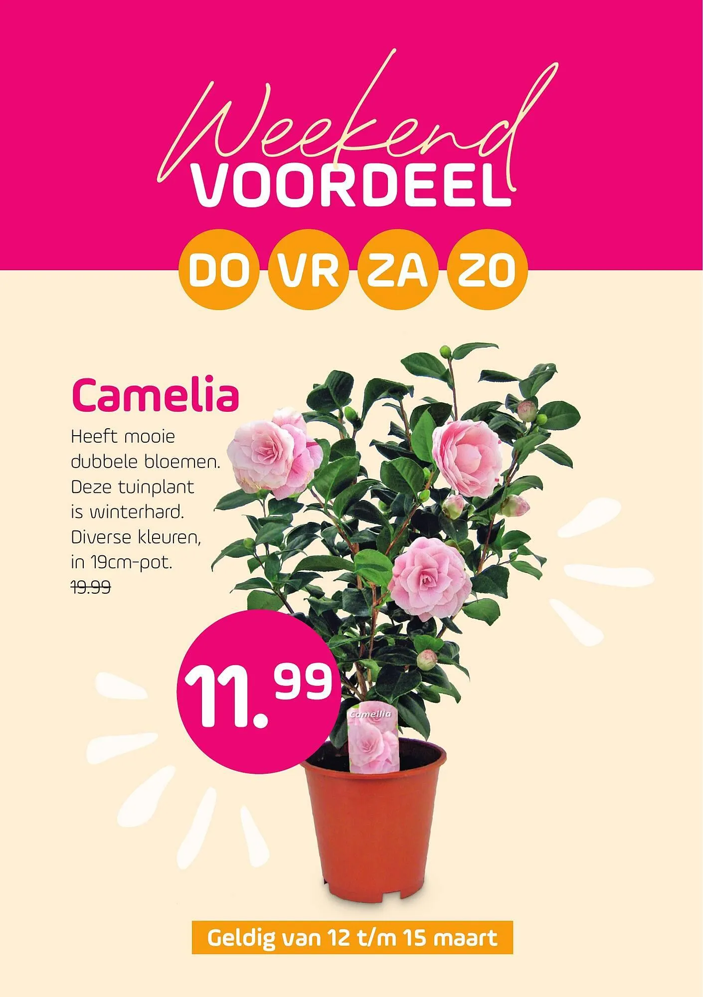 Coppelmans folder van 6 maart tot 15 maart 2026 - Folder pagina 2