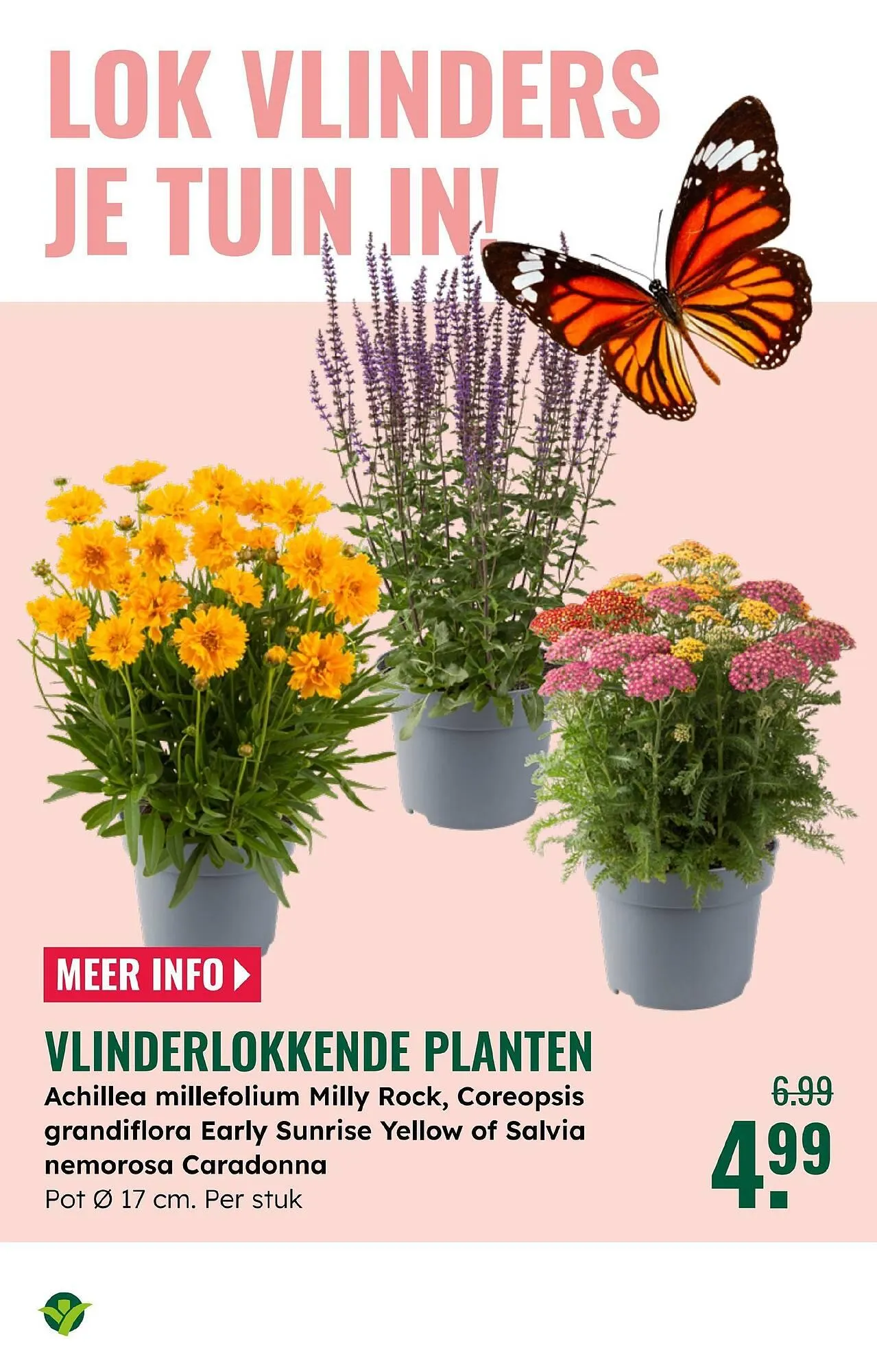 GroenRijk folder van 4 juni tot 17 juni 2025 - Folder pagina 7