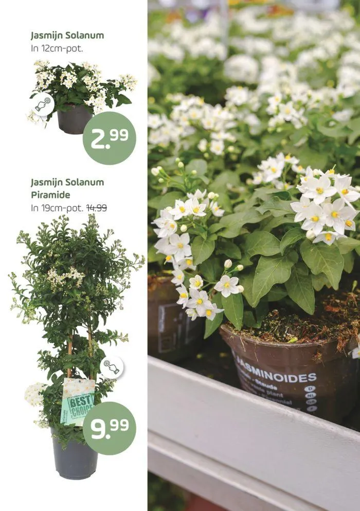 Buitenleven van 16 mei tot 30 mei 2024 - Folder pagina 11